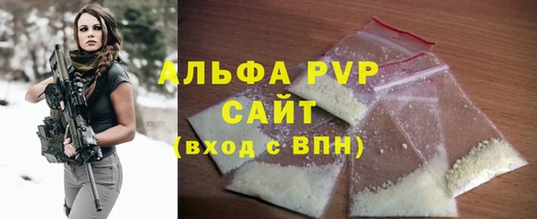 стафф Арсеньев