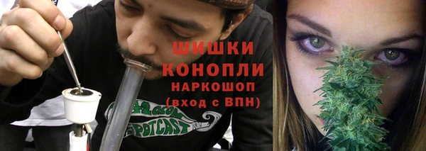 прущие грибы Ростов