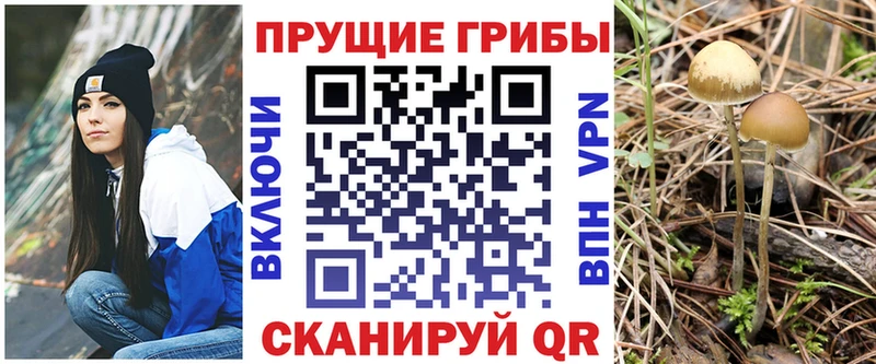 Галлюциногенные грибы прущие грибы Дорогобуж